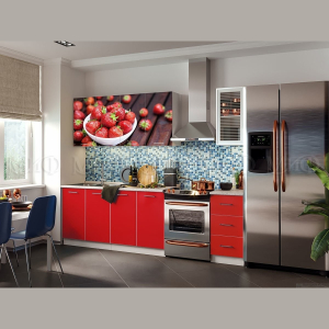 Кухня ЛДСП Фортуна фотопечать 1,6м
