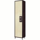 ДОМИНО ВК-04-01 Шкаф левый (0,45 см)(снято) ДОМИНО ВК-04-01 Шкаф левый (0,45 см)(снято)