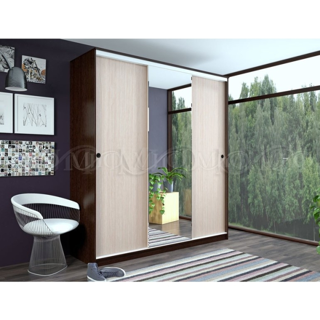 Шкаф-купе Альянс 2,0м 